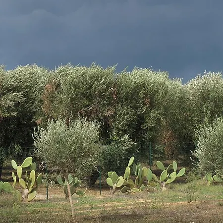 Sosta A Ponente Matino